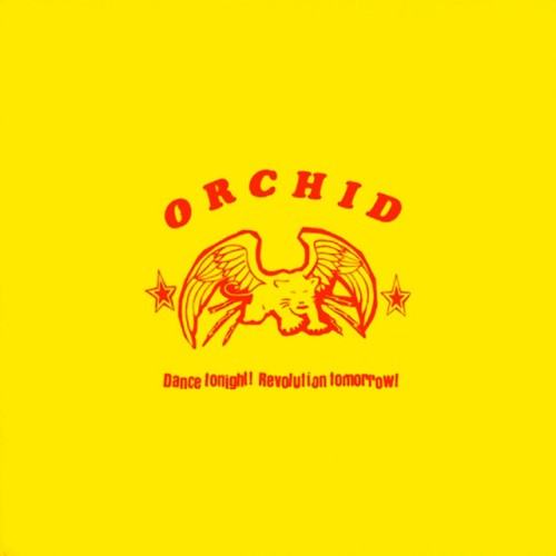 Orchid