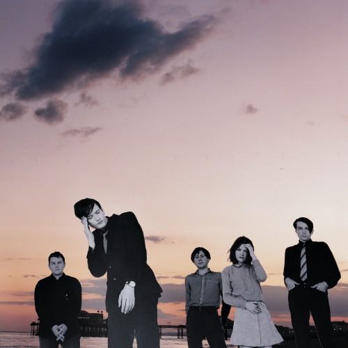 Pulp