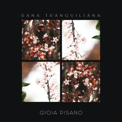 Gioia Pisano