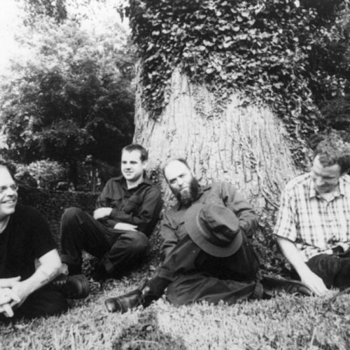 Lungfish