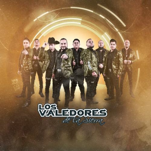 Los Valedores de la Sierra