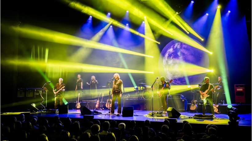 Zuiderpark Live: Pink Project