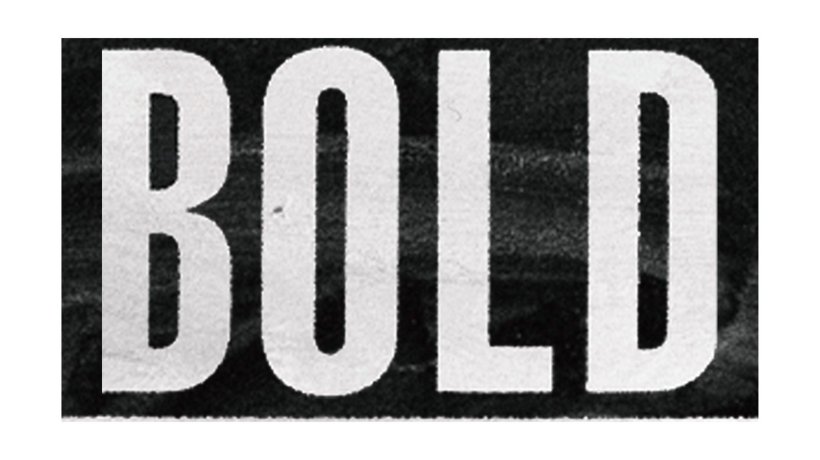 BOLD + Guests