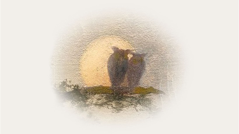 PAUL SIMON IN CONCERT