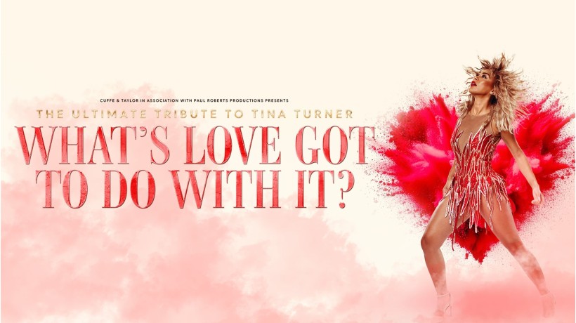 Whats Love Got To Do With It?