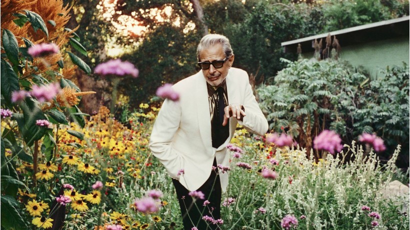 Jeff Goldblum & The Mildred Snitzer Orchestra: The Night Blooms World