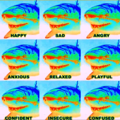 REQUIN